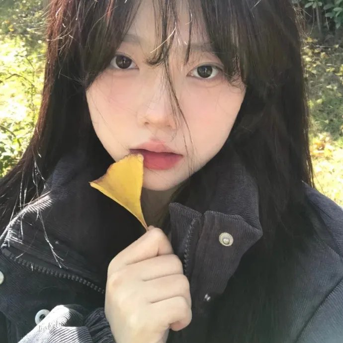 给自己的情歌