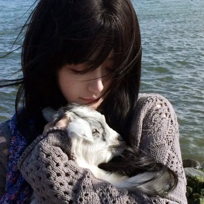 普里斯特法官