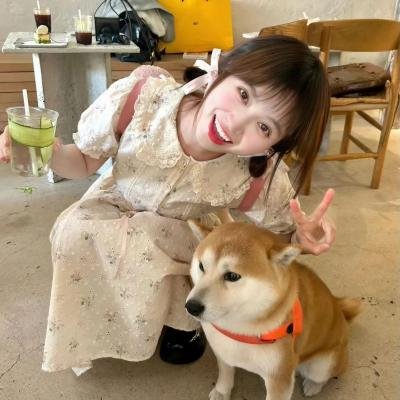粉红火鹤的神秘凝视